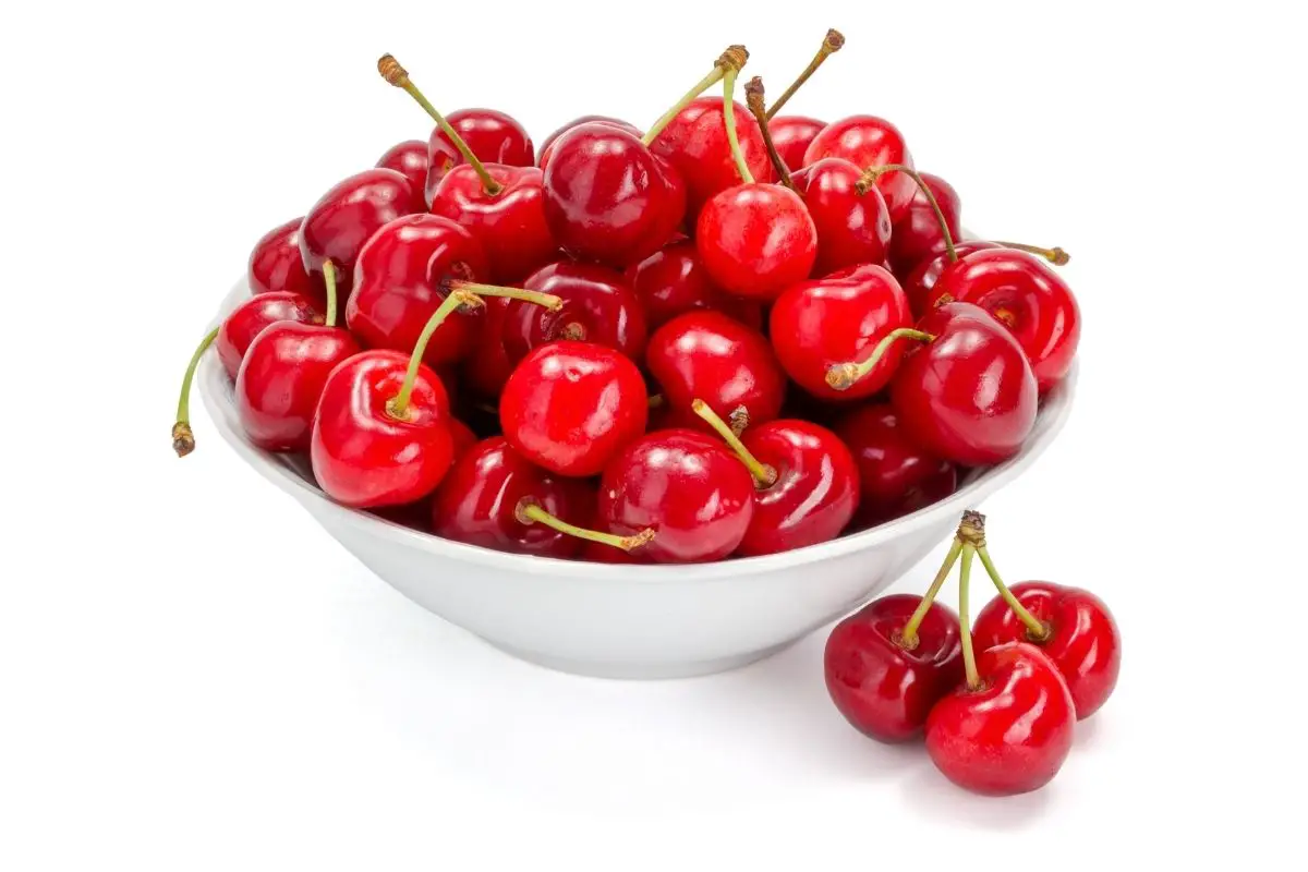 Cherry fruits with high sugar