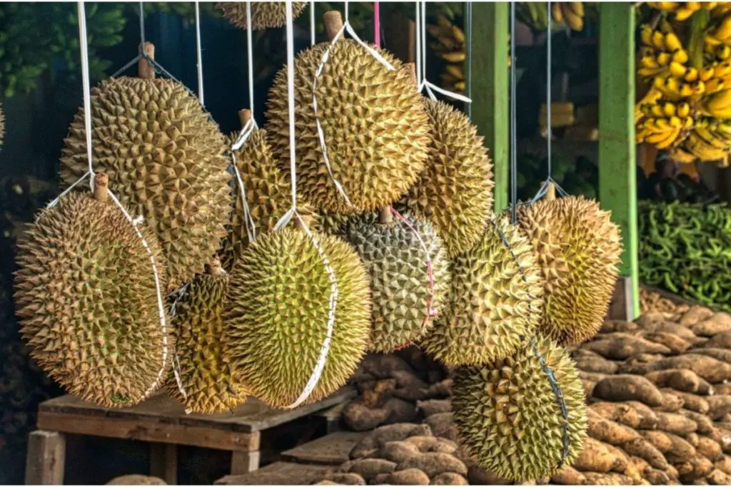 Durian 