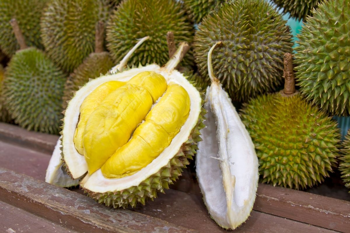Durian Fruits That Start With D