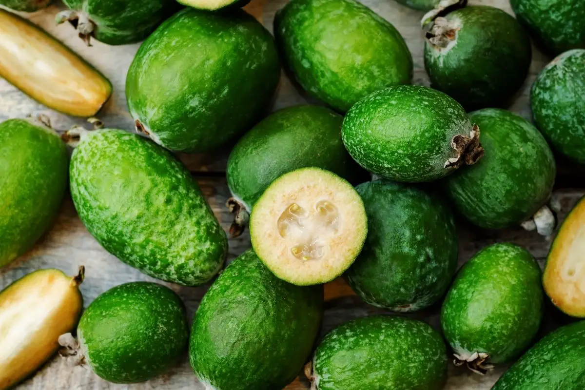 Feijoa Fruits that Start with F