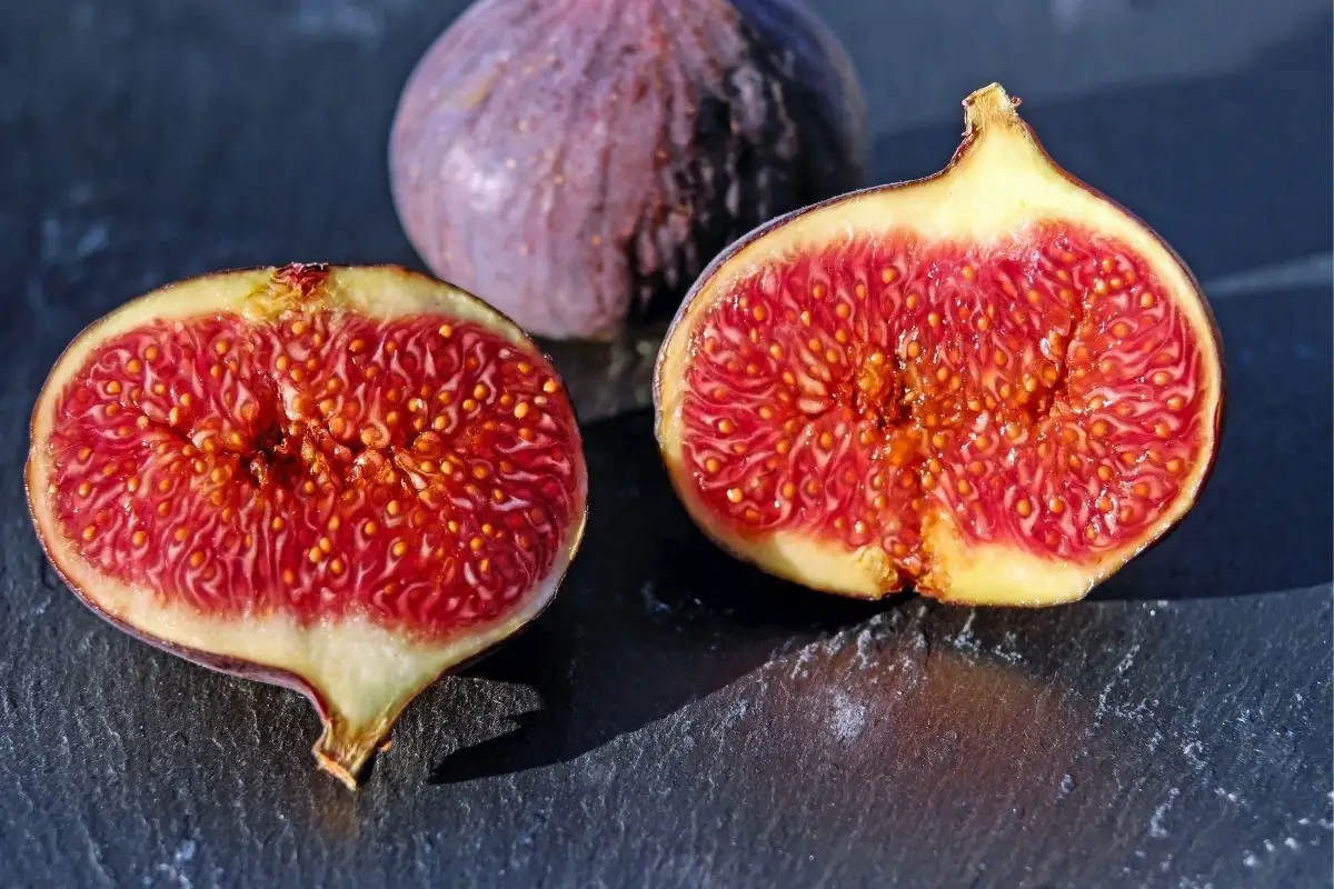 Fig Fruits that Start with F