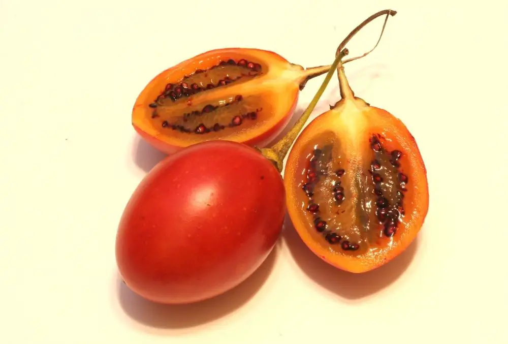 Tamarillo Fruits that start with T