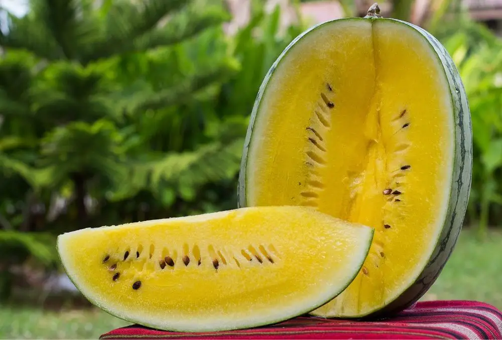 11 Different Fruits That Start With Y (Including Photos)
