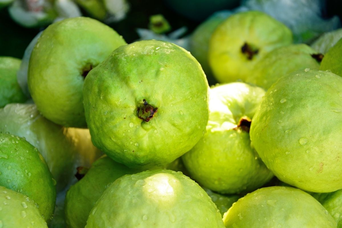 Guava Fruits That Start with G