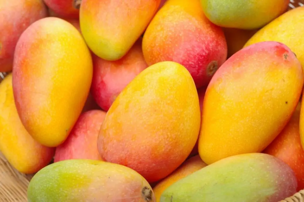 Mango Fruits That Start With M