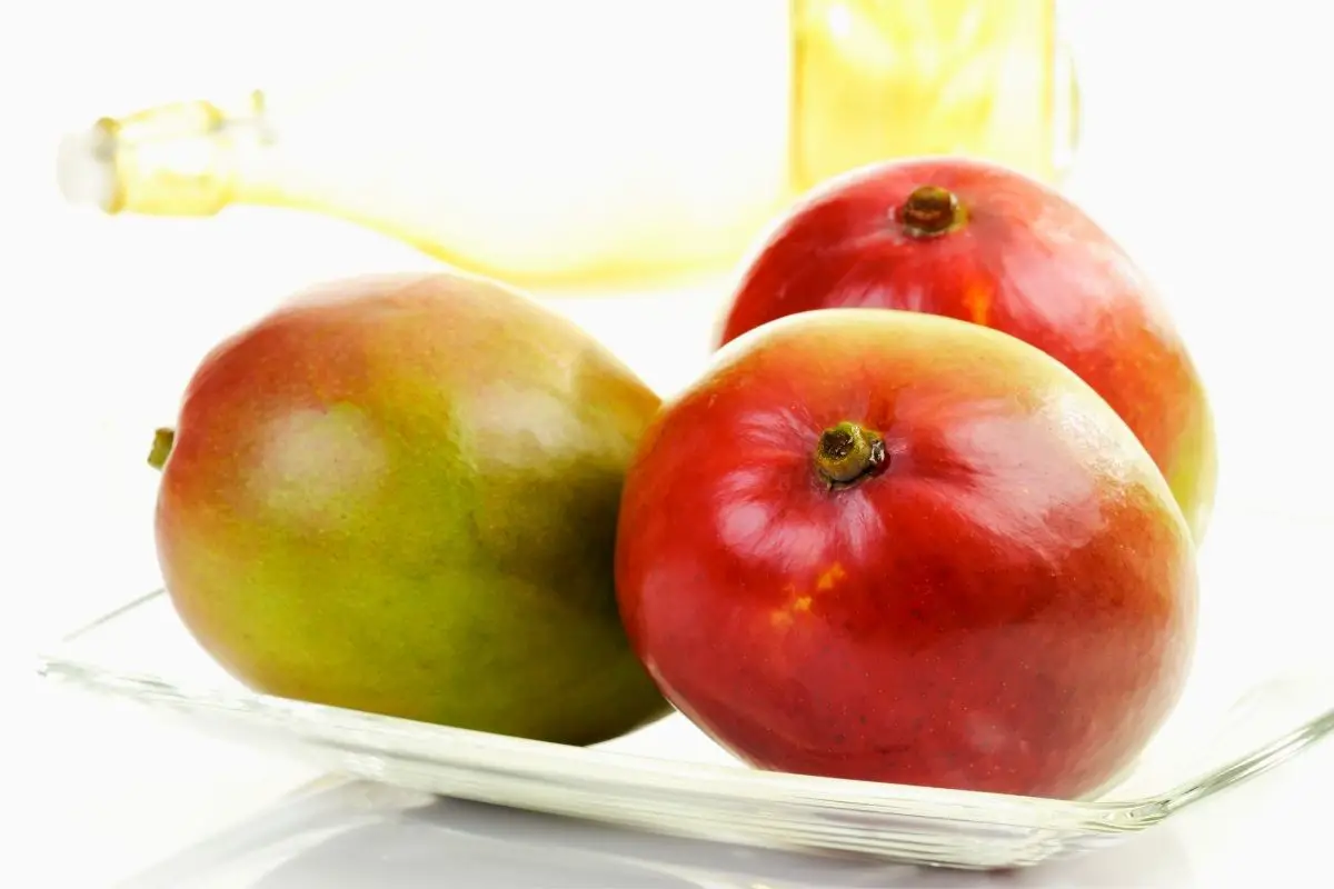 Mango fruits with high sugar