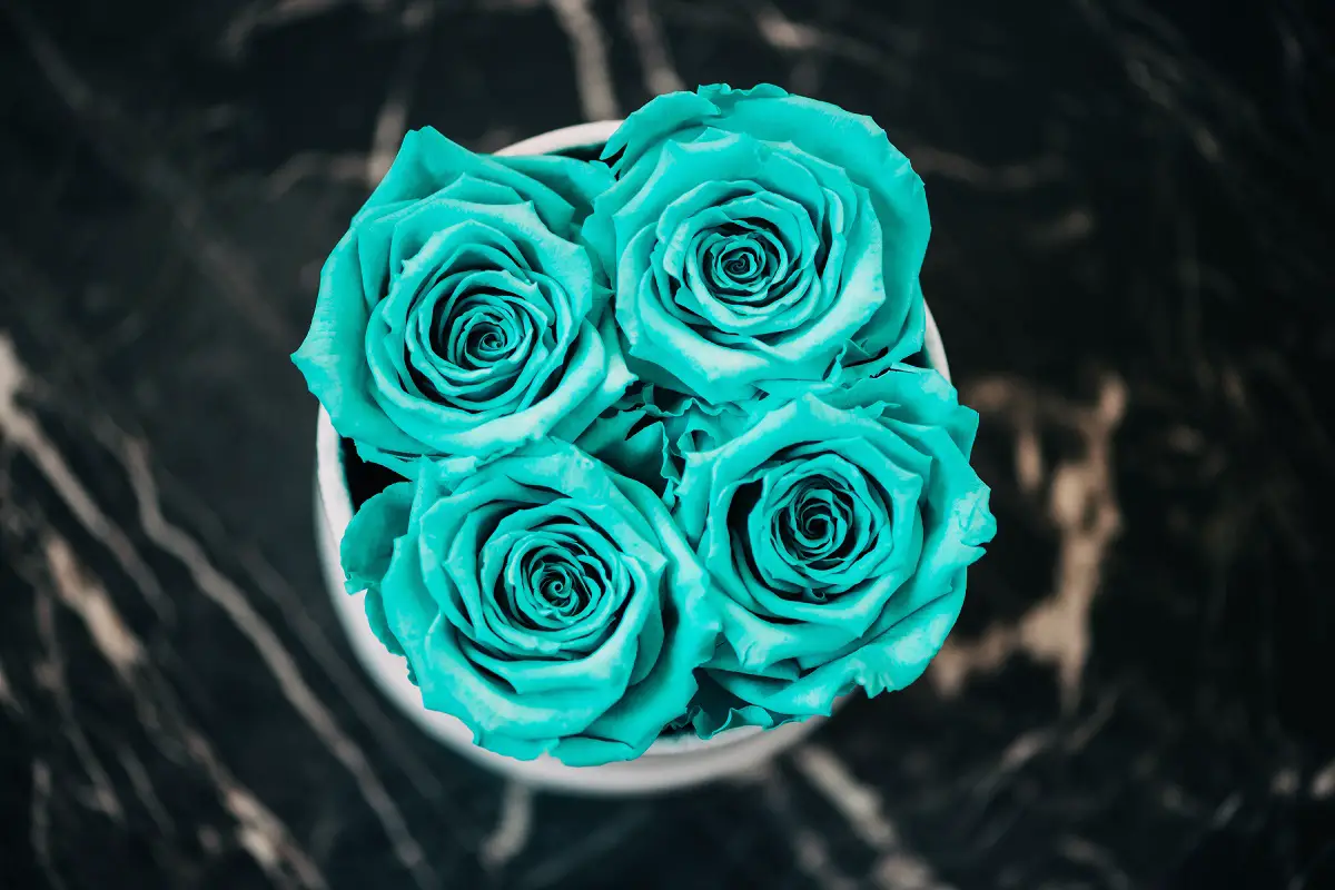 Preserved Mint Roses