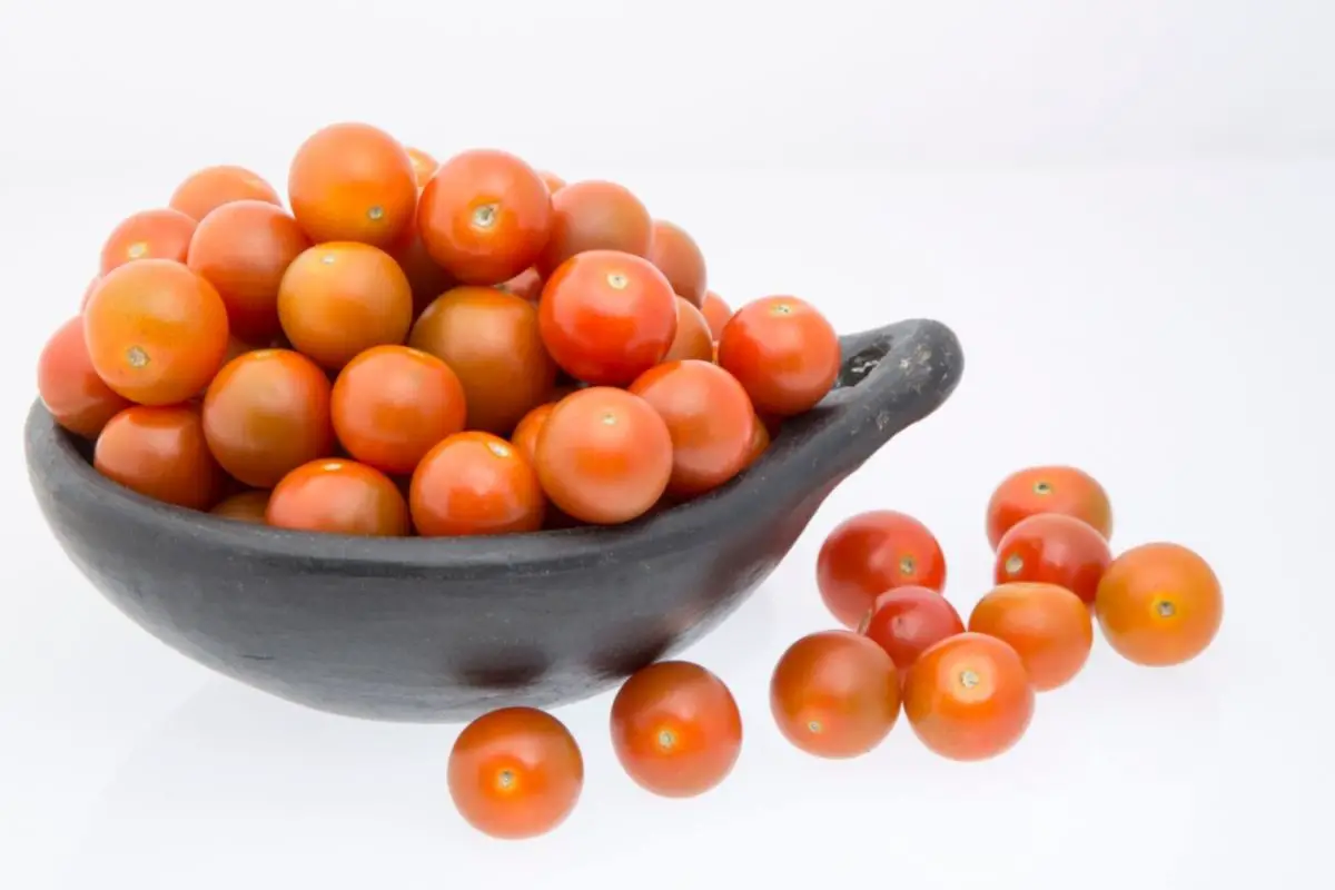 Solanum Lycopersicum ‘Peacevine Cherry’