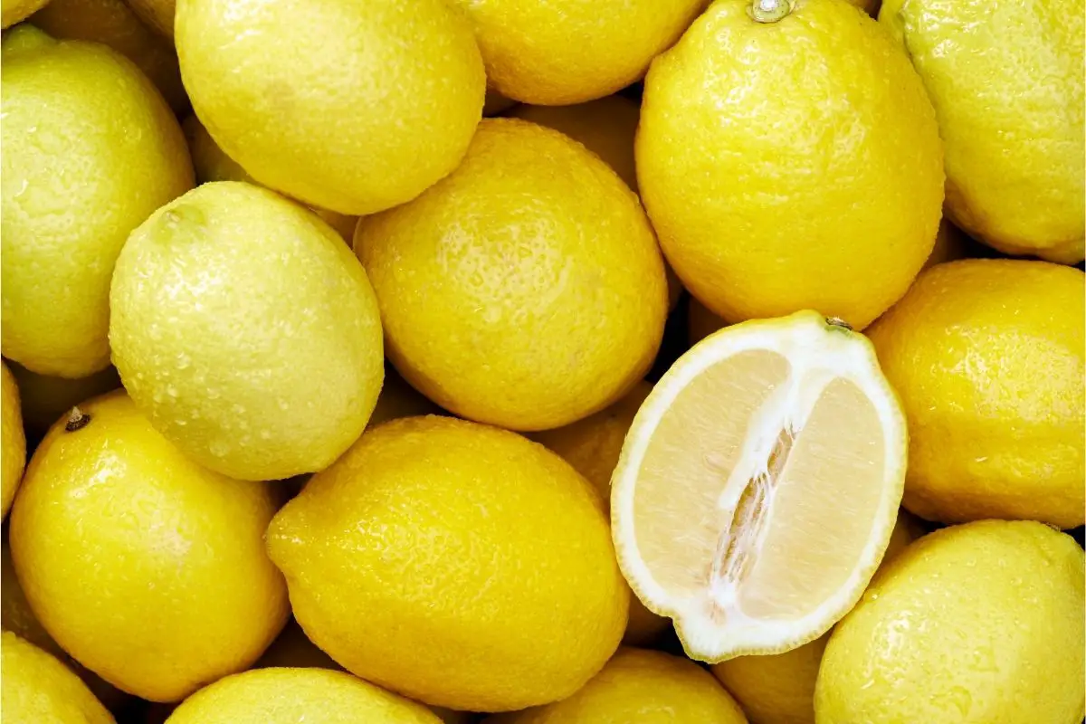 13 Lovely Lemon Plants