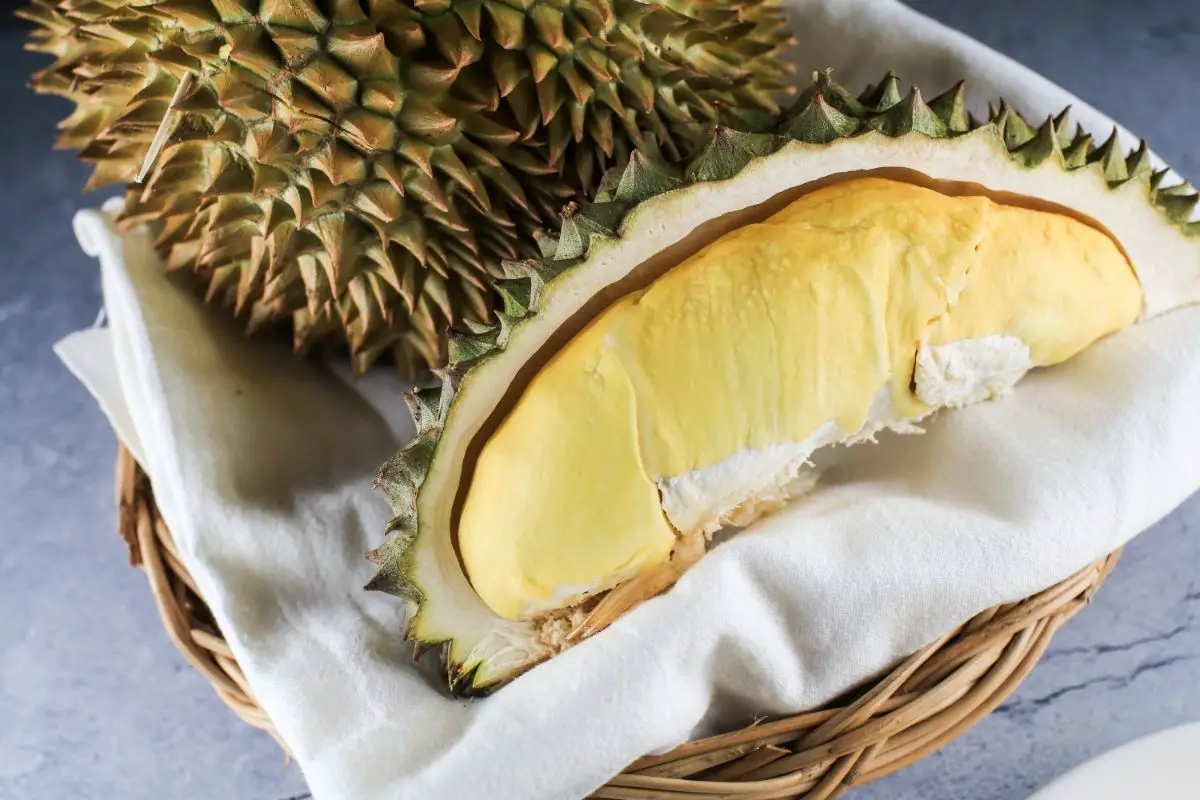 Durian Brown Fruit