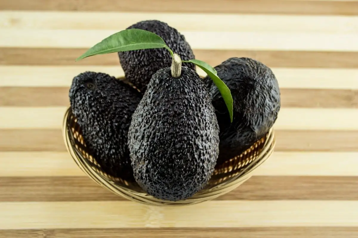 16 Different Black Fruits (Including Photos) (10)