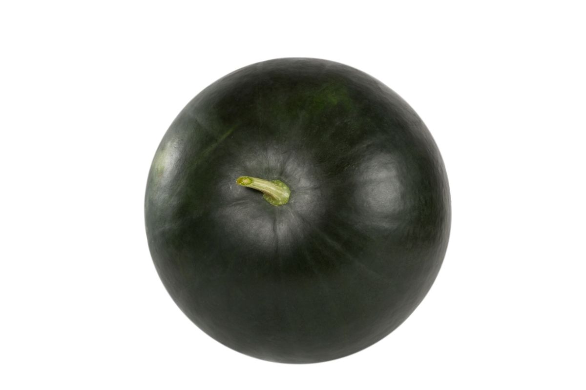 16 Different Black Fruits (Including Photos) (5)