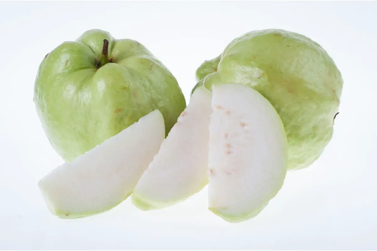 White-fleshed Guava
