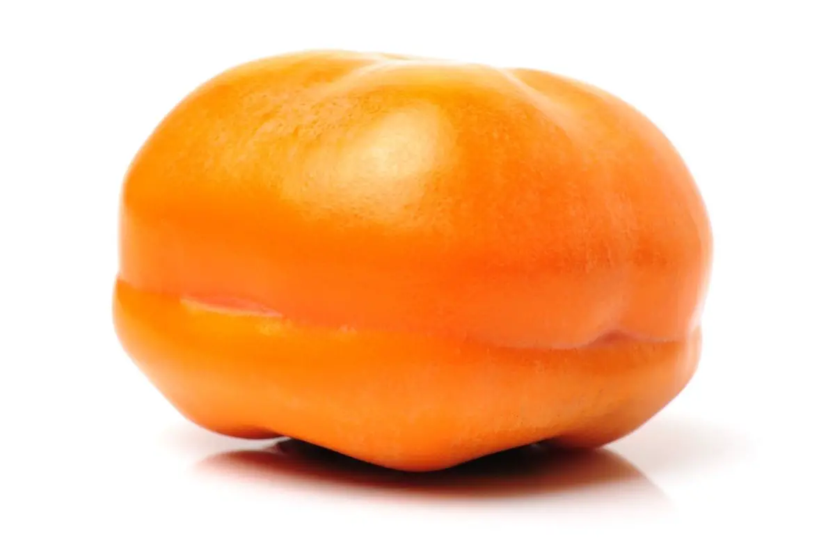17 Different Types Of Persimmon Fruits (Including Photos) (10)