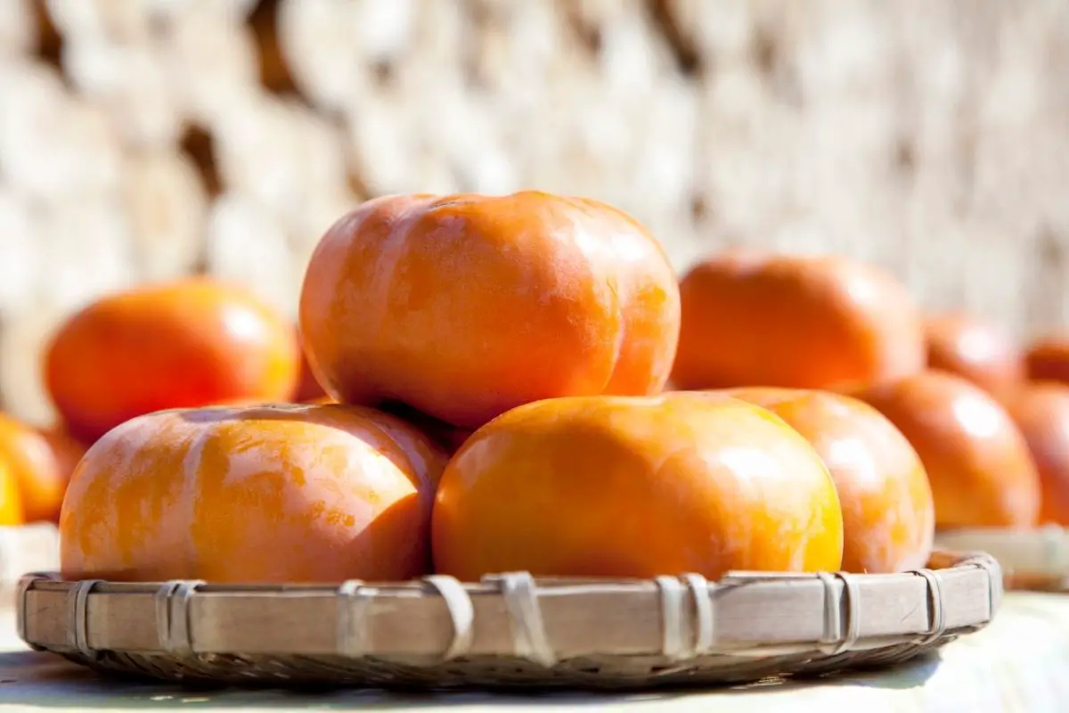 17 Different Types Of Persimmon Fruits (Including Photos) (4)