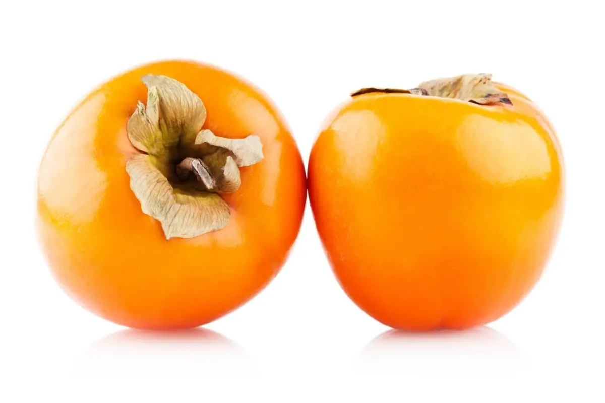 17 Different Types Of Persimmon Fruits (Including Photos) (8)