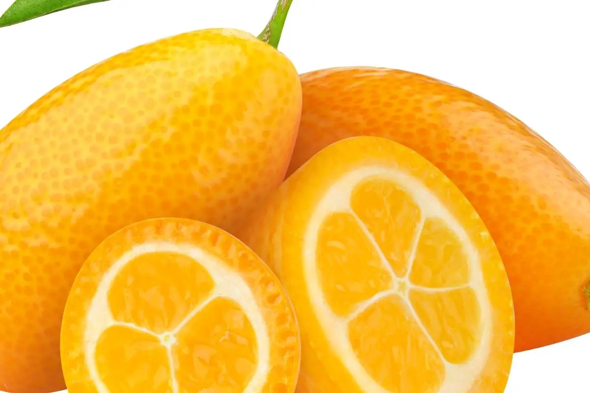 17 Types Of Orange Fruits (Including Photos) (2)