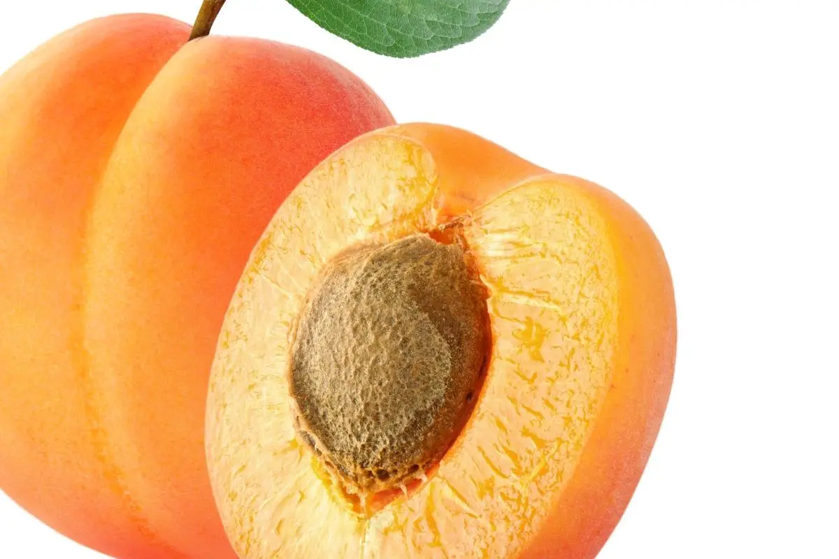 17 Types Of Orange Fruits (Including Photos) (4)