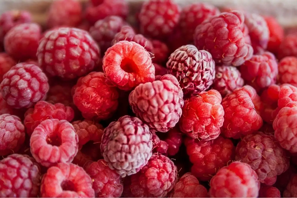 18 Different Pink Fruits (Including Photos) (11)