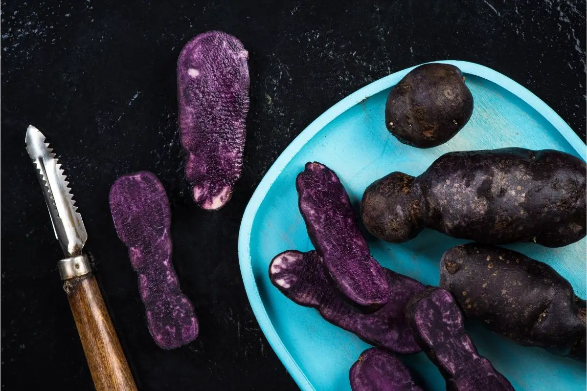 27 Different Purple Fruits (Including Photos) (10)