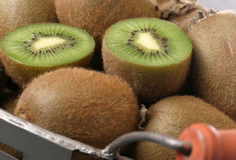 Kiwi Brown Fruits