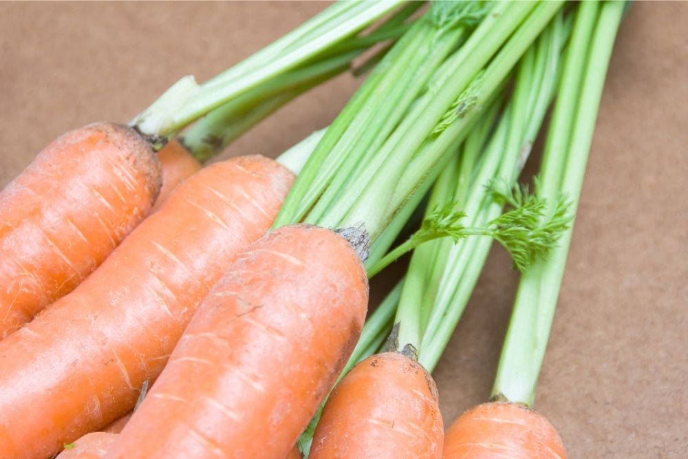 Carrot Straw