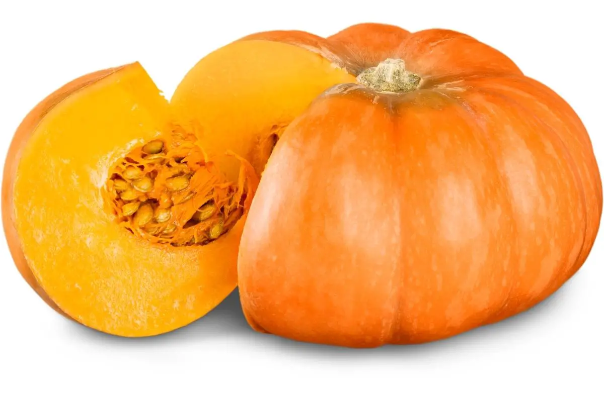Common Pumpkin