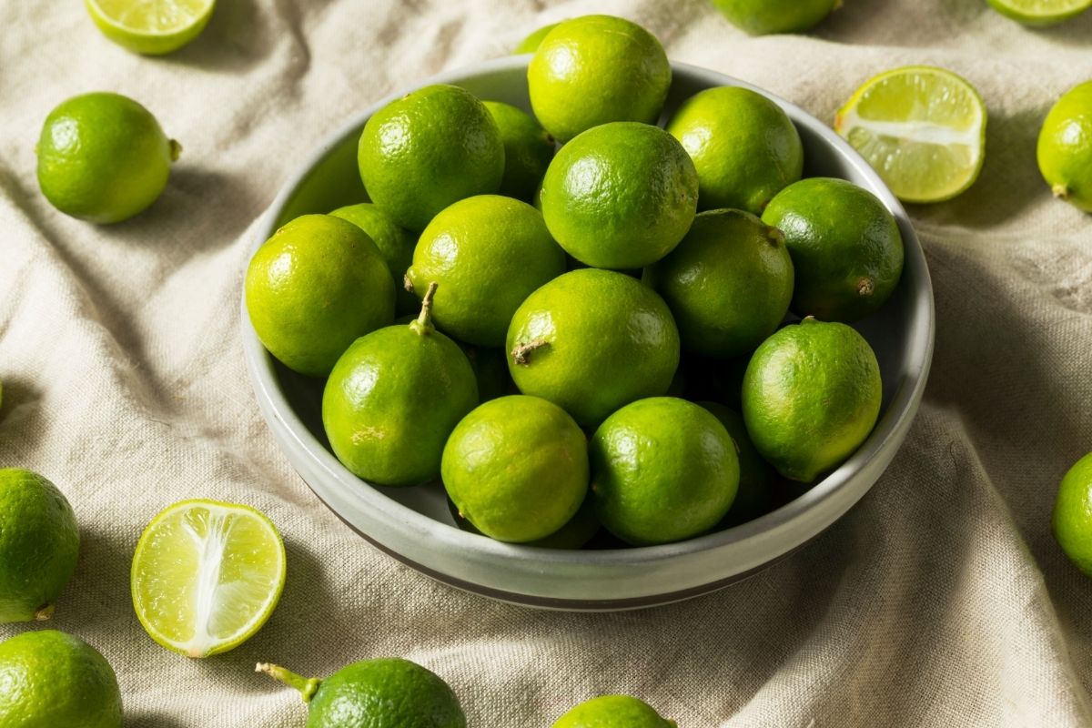 Key Lime fruits that start with K