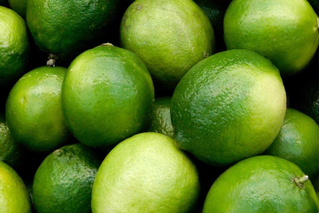 Ogeechee Lime