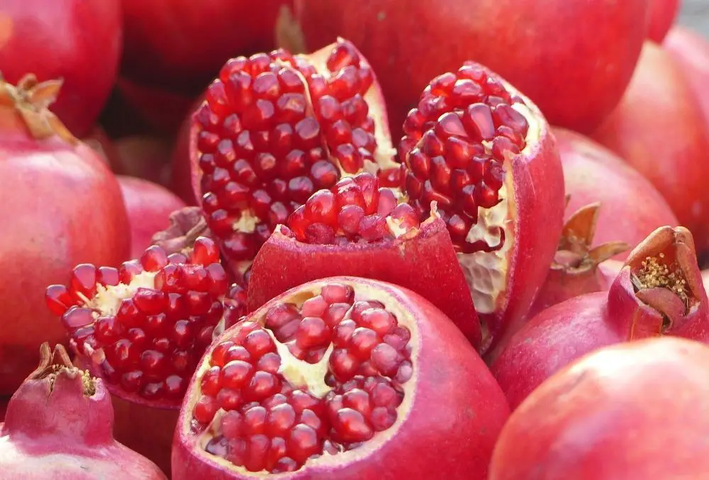 Pomegranate 