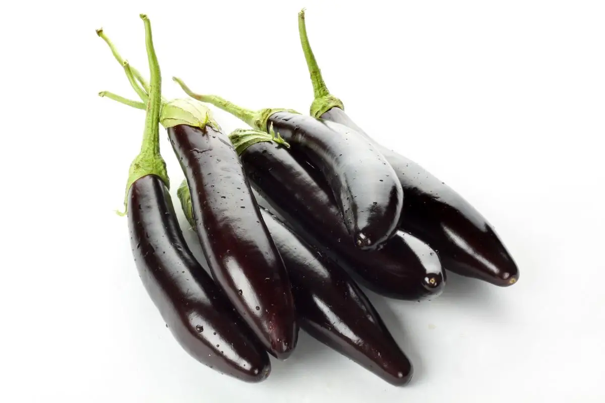 Sauce Eggplant