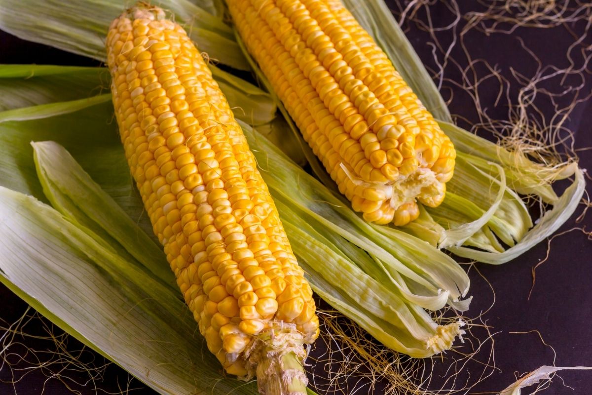 Seneca Horizon Corn