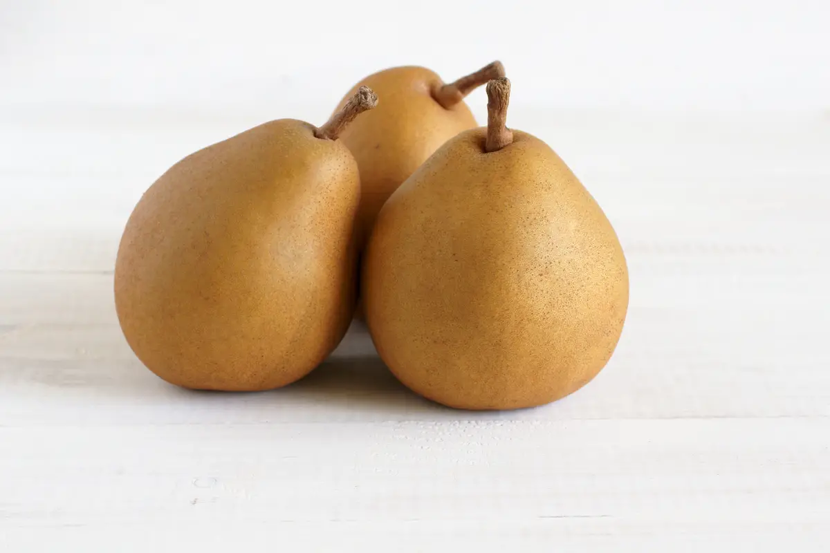 Taylor’s Gold Pear