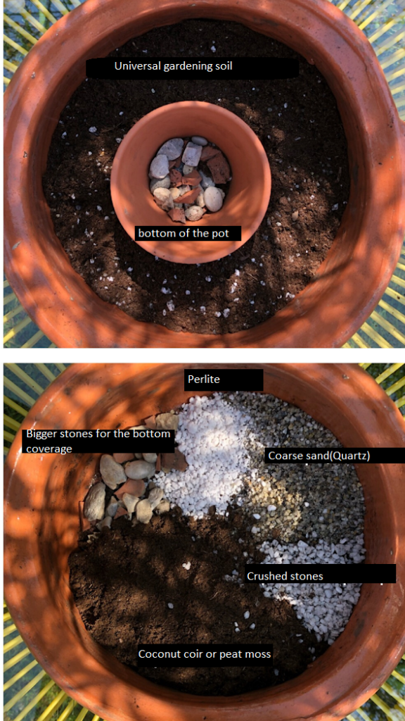 What are succulents? Gardening soil