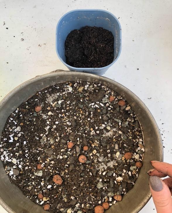 How to make your own succulent soil at home 