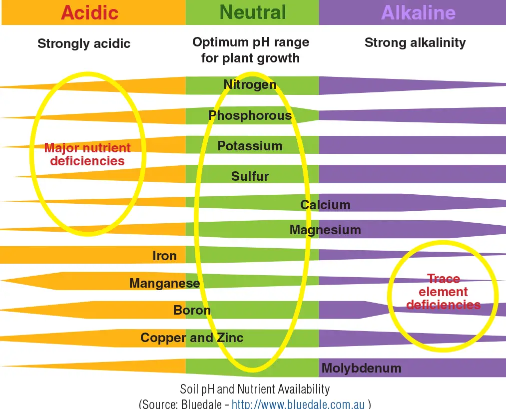 Soil ph nutrient availability scale