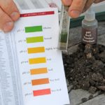 Importance of Soil pH and Nutrient Availability for Plant Health