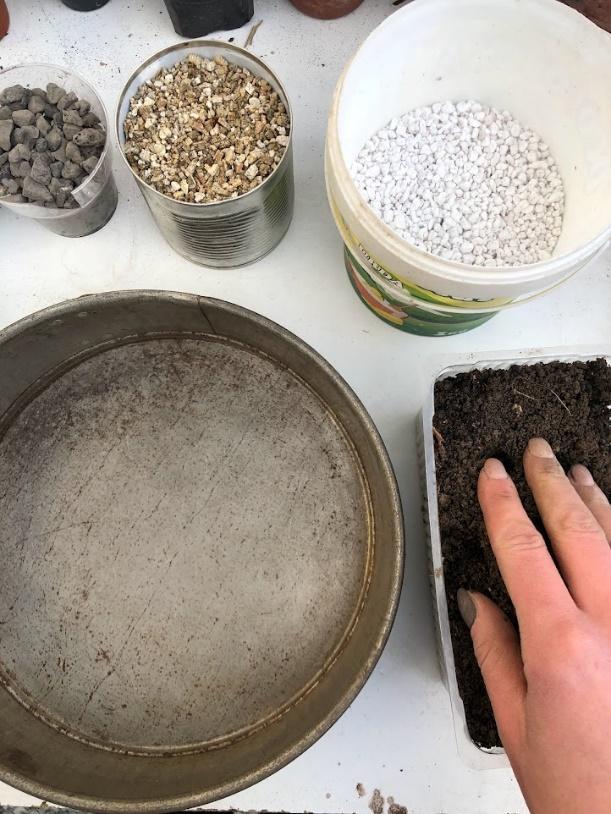 How to make your own succulent soil at home 