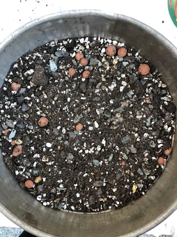 How to make your own succulent soil at home