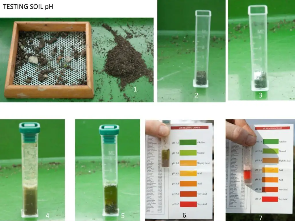 Testing soil pH