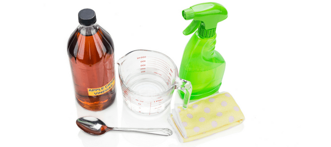 Vinegar spray to get rid of springtails