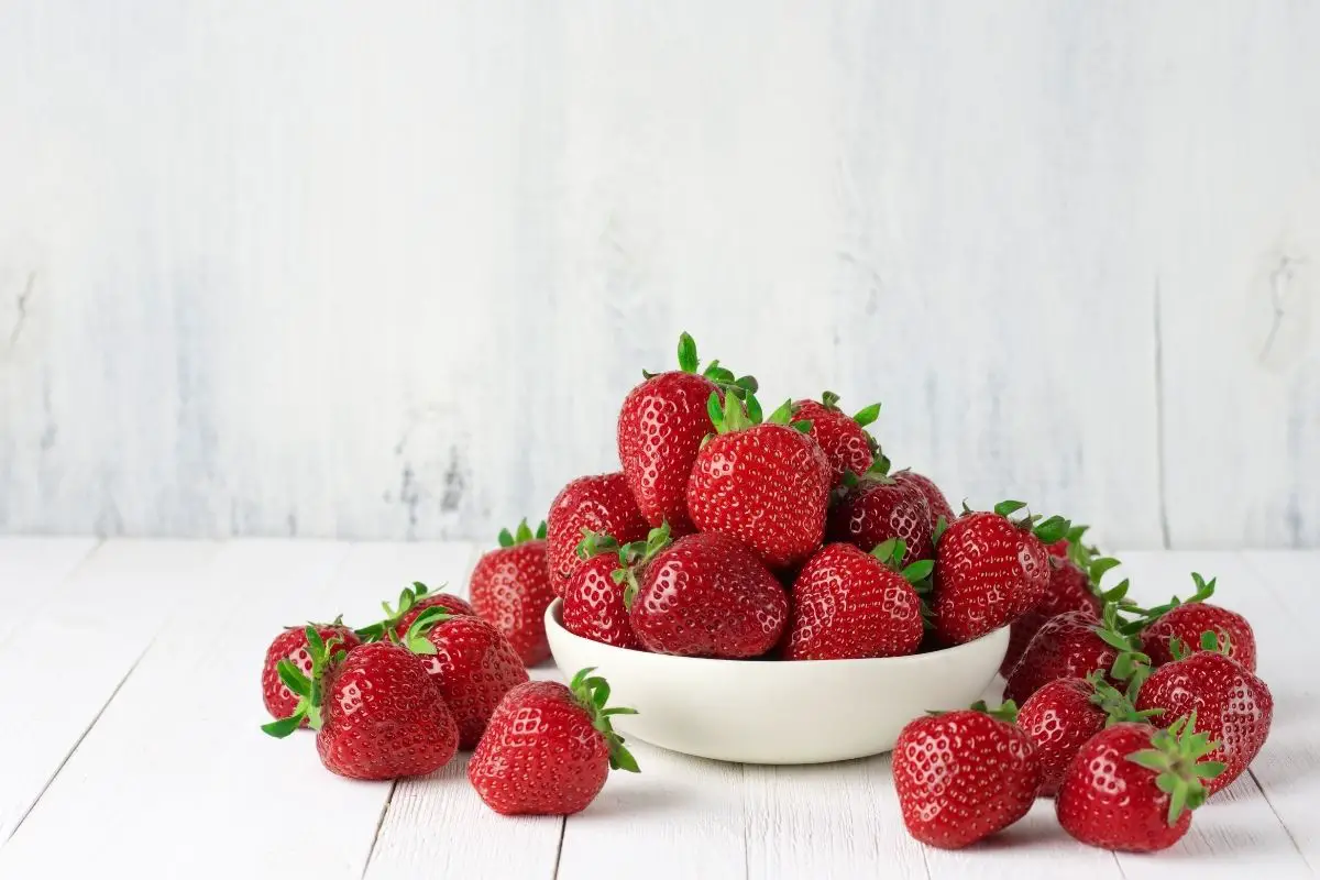 14 Varieties Of Strawberry Fruits