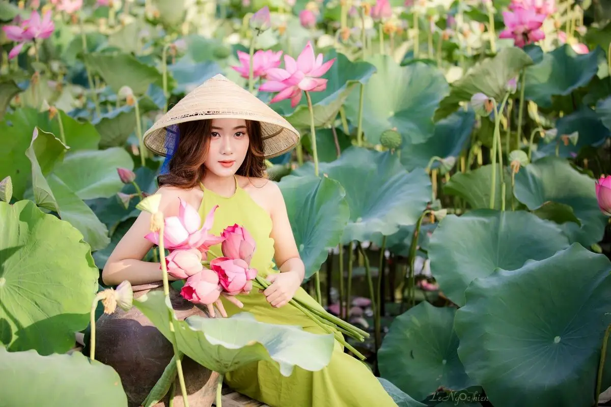 A Whole Lot Of Loveliness: The Ultimate Guide To Lotuses
