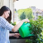 An Inside Job: How to Water Your Indoor Plants