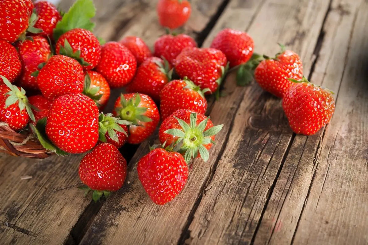 Aroma strawberry fruits