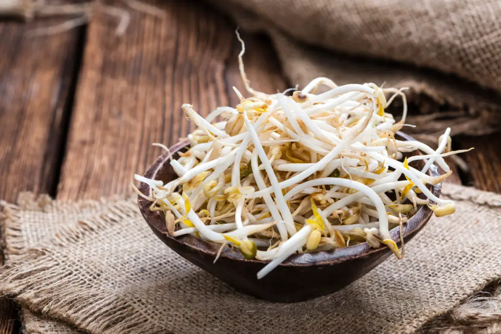 Beansprouts (豆芽)