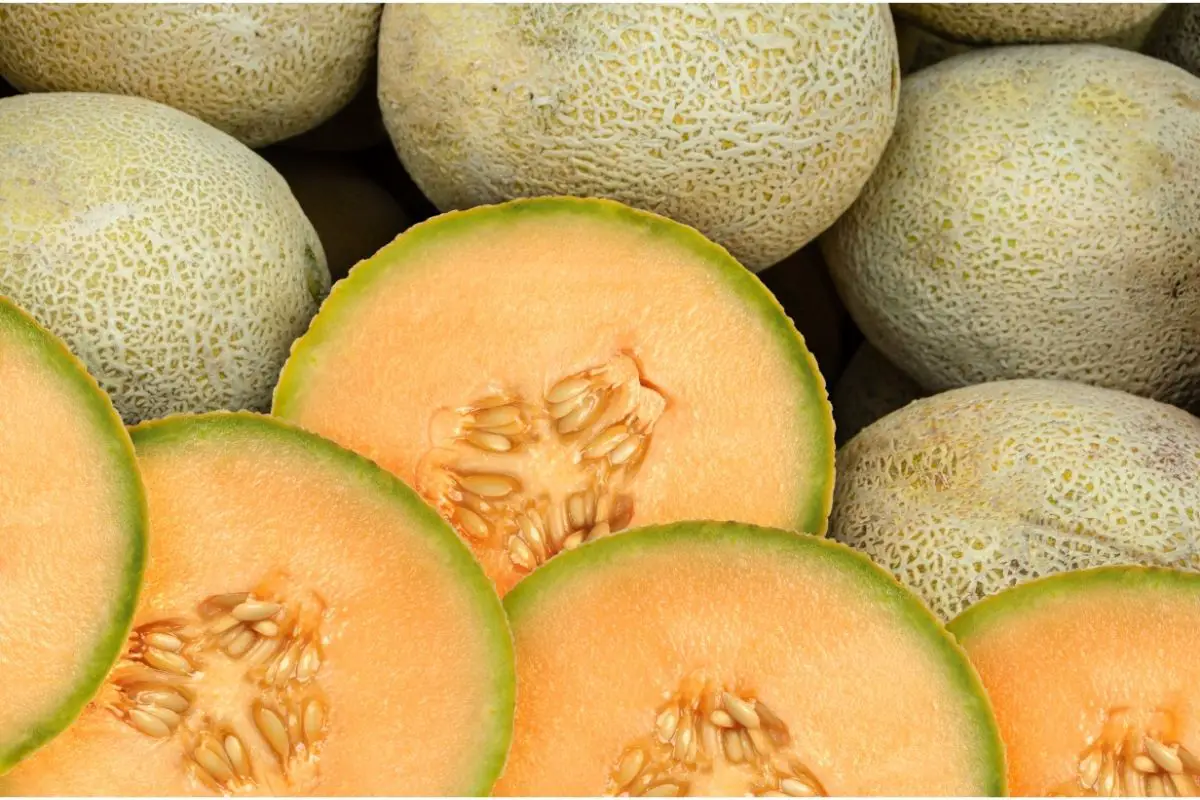 Cantaloupe Fruits with Low Carbs