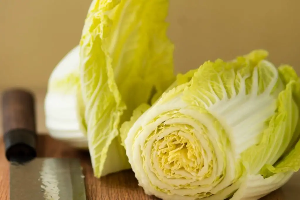 Asian Veggies-Chinese Cabbage
