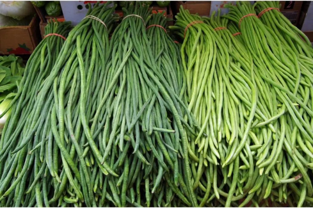 Asian Veggies-Chinese Long Beans