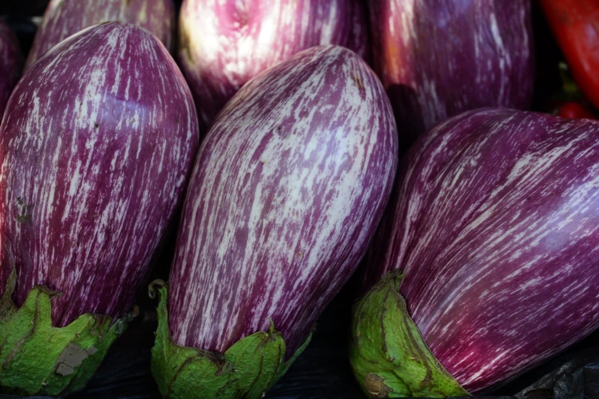 E is for Eggplant: Enchanting Veggies That Start With 'E'